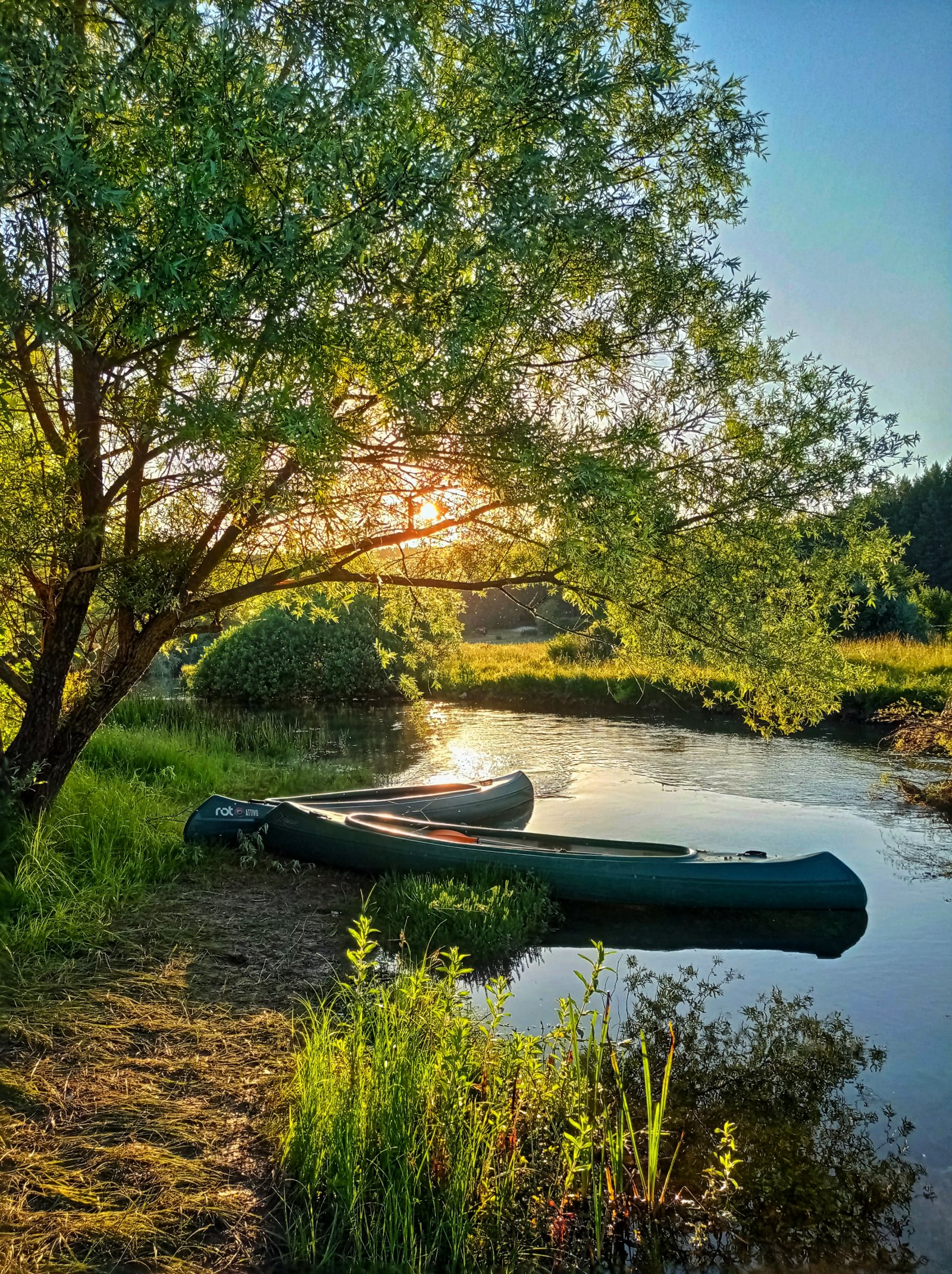 Canoe  safari na rijeci Sturbi i promatranja ptica u Livanjskom polju