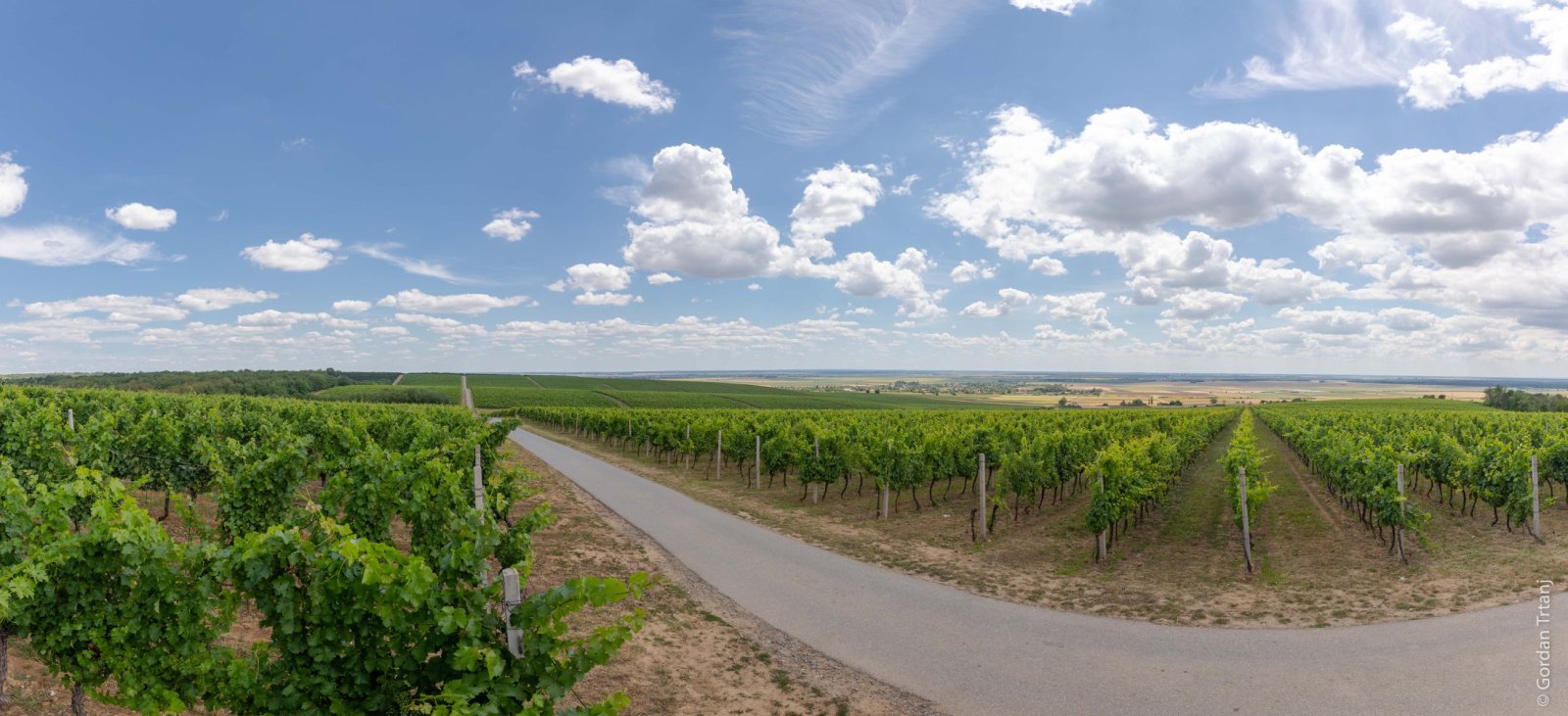 OPĆINA KNEŽEVI VINOGRADI - VINSKA DESTINACIJA HRVATSKE