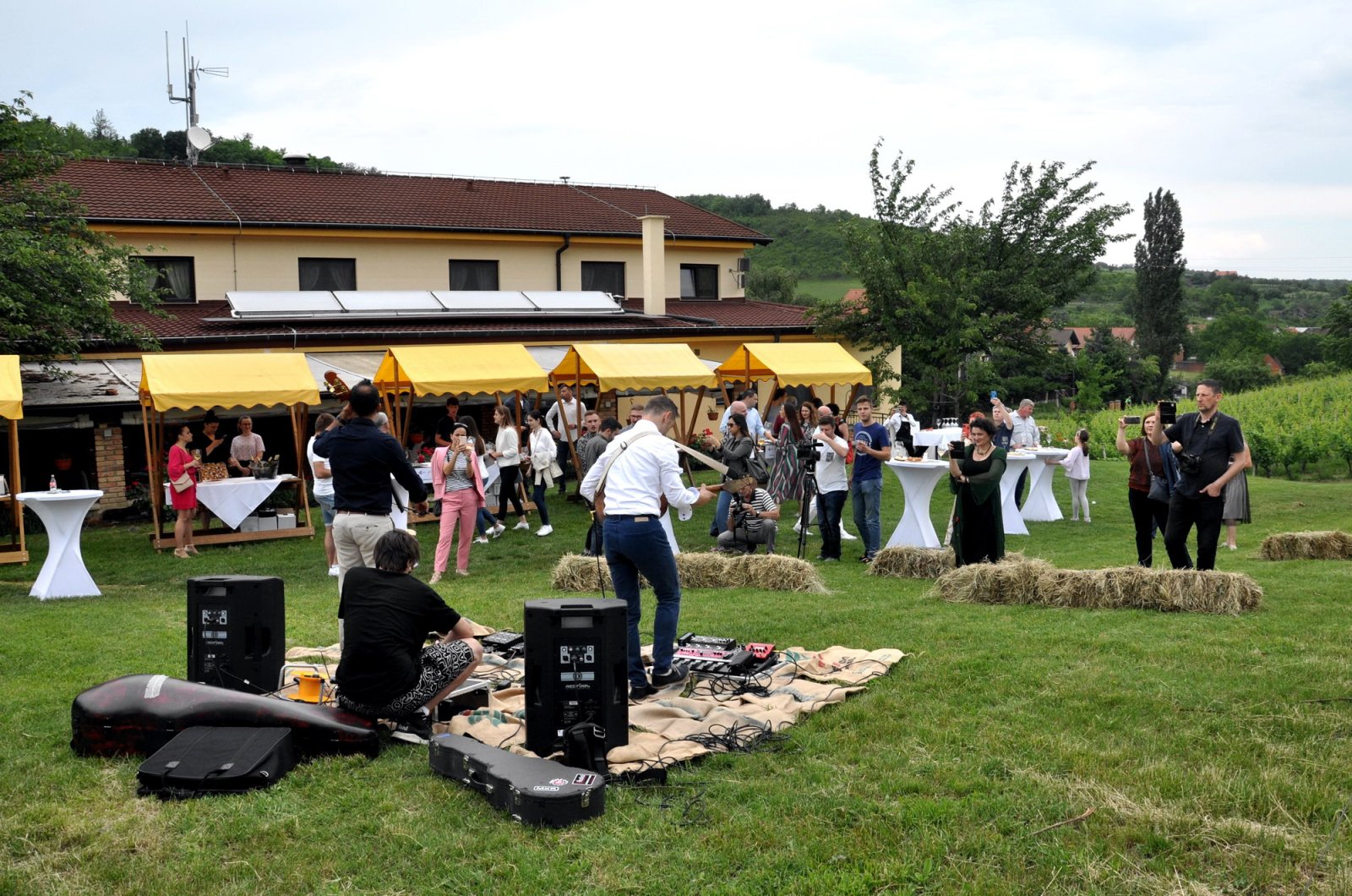 Zalazak sunca u vinogradu