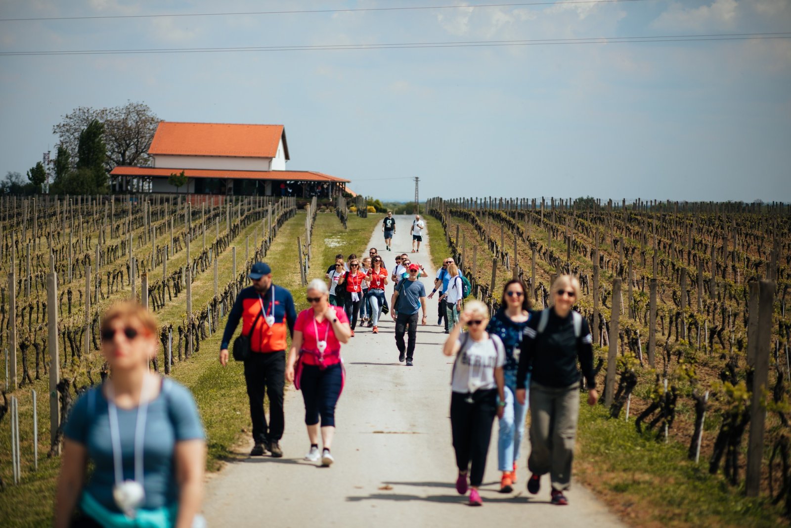 Ilok Wine Weekend