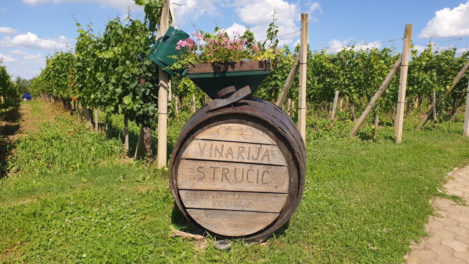 Vinarija Stručić