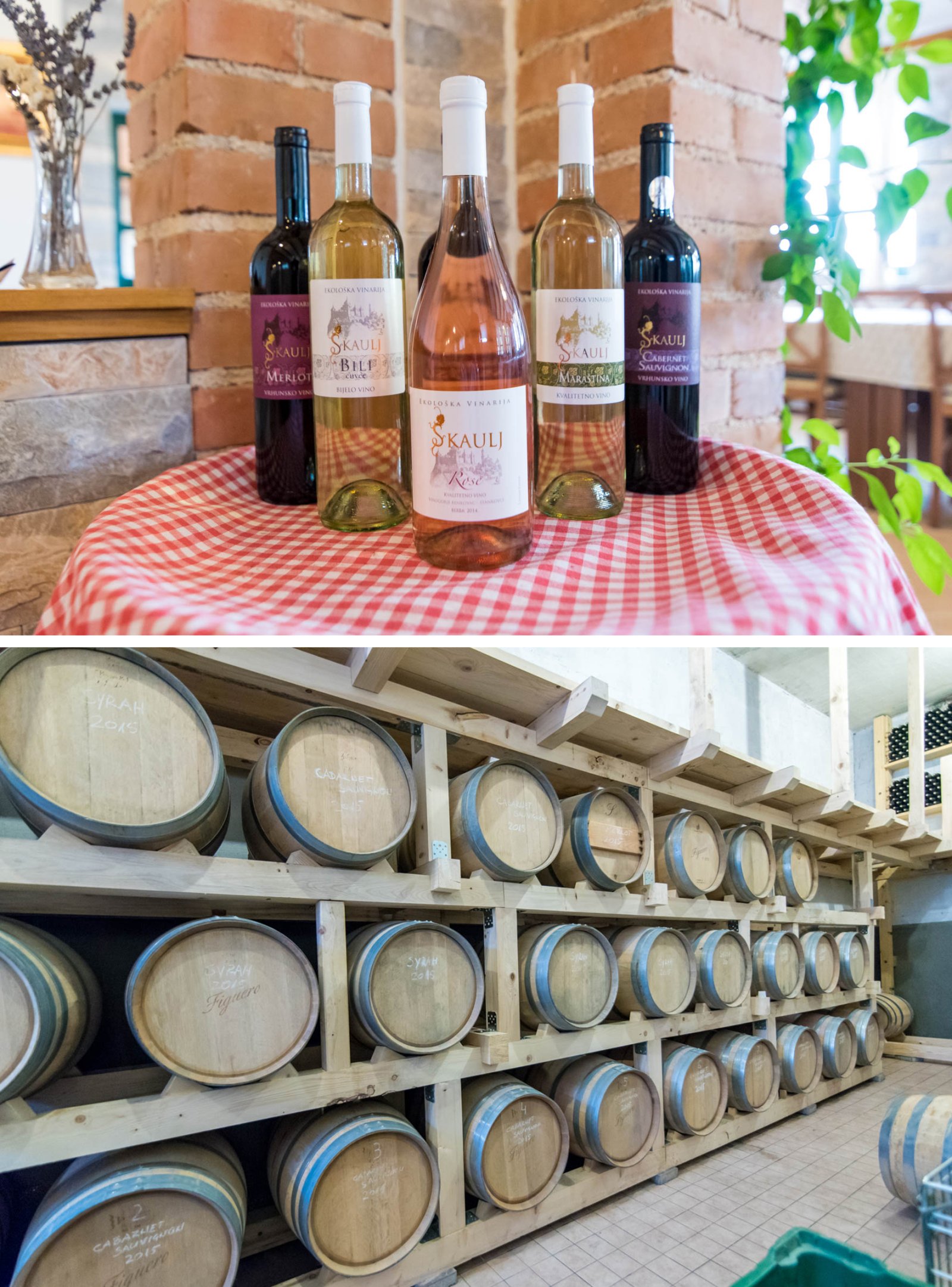 VINARIJA ŠKAULJ-VINO IZ SRCA RAVNIH KOTARA