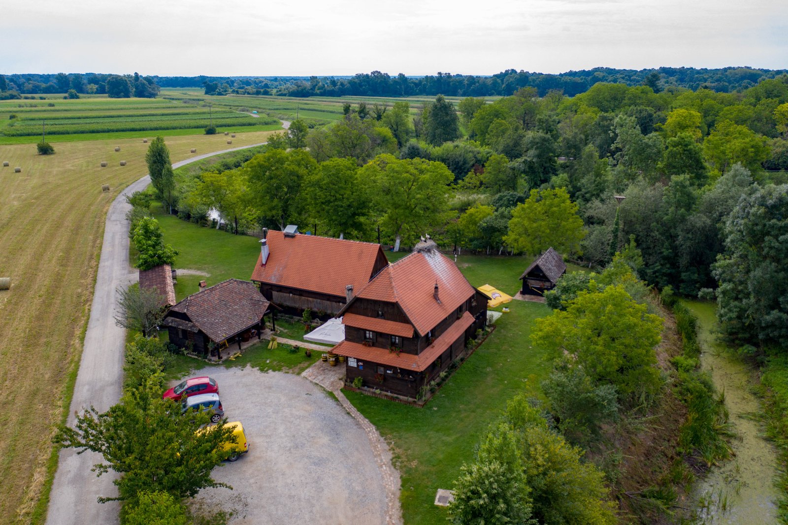 Gastro užitak - šaran na rašlje