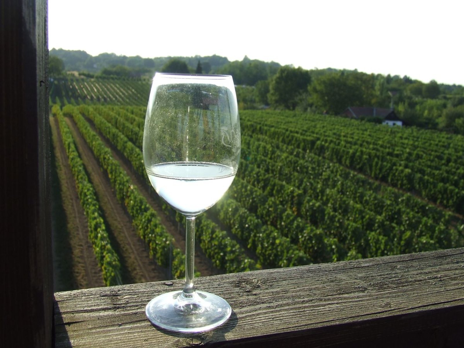 VINO S PESKOV