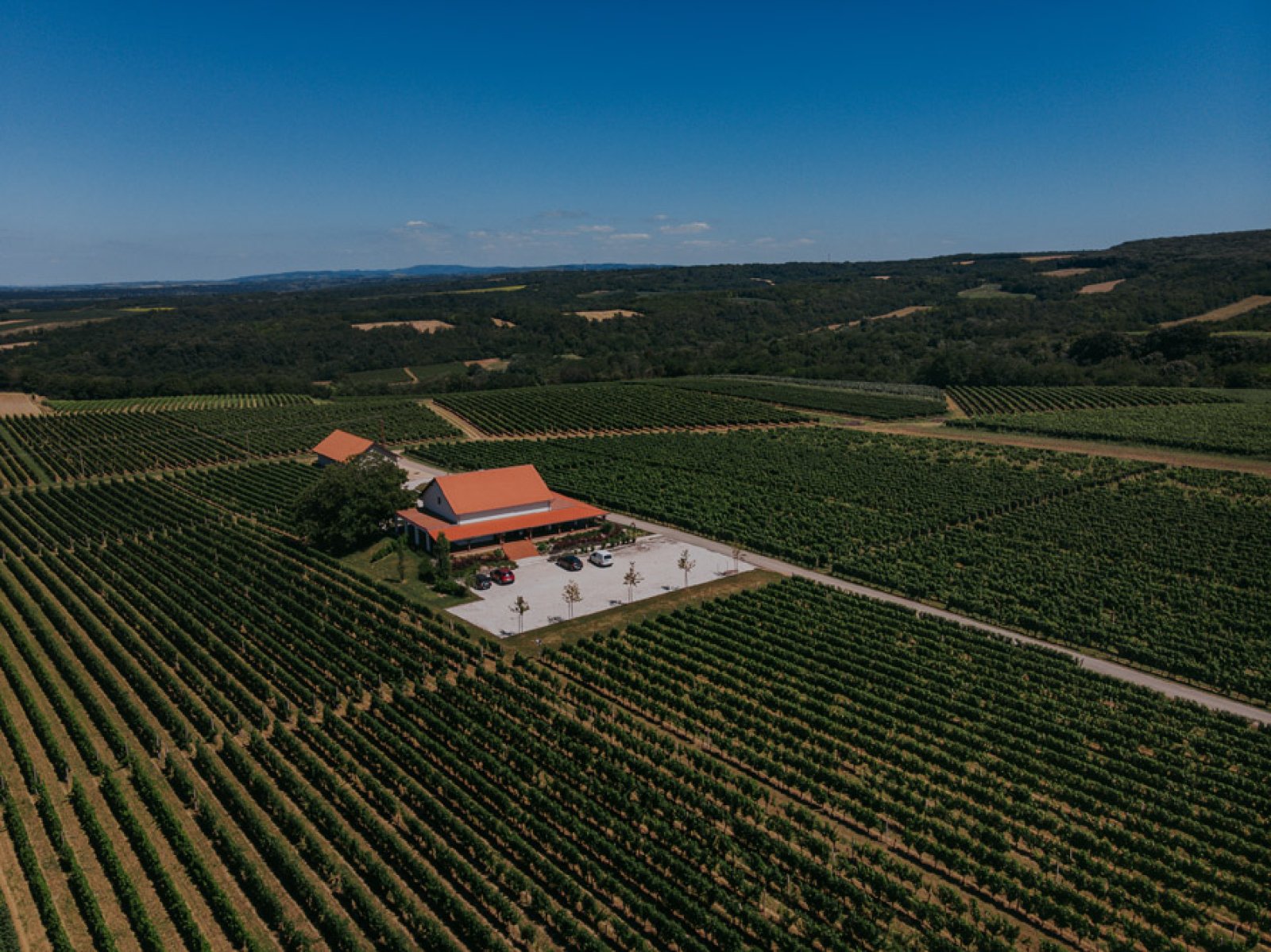 VINA PAPAK -ILOK ( prizvodnja i kušaonica vina )