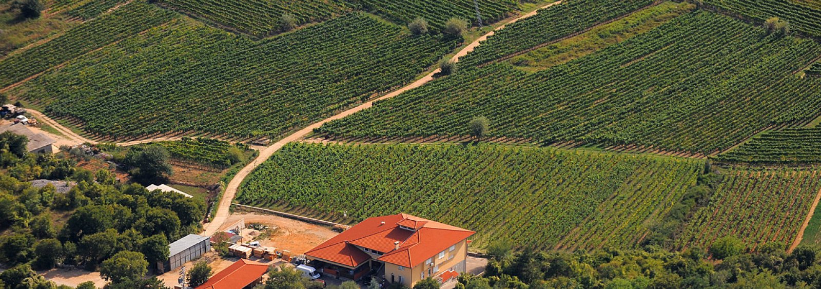 Katunar - Estate Winery