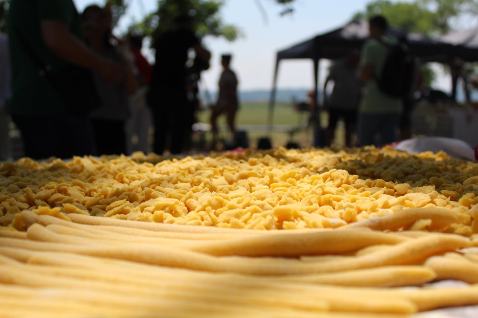 Festival tista