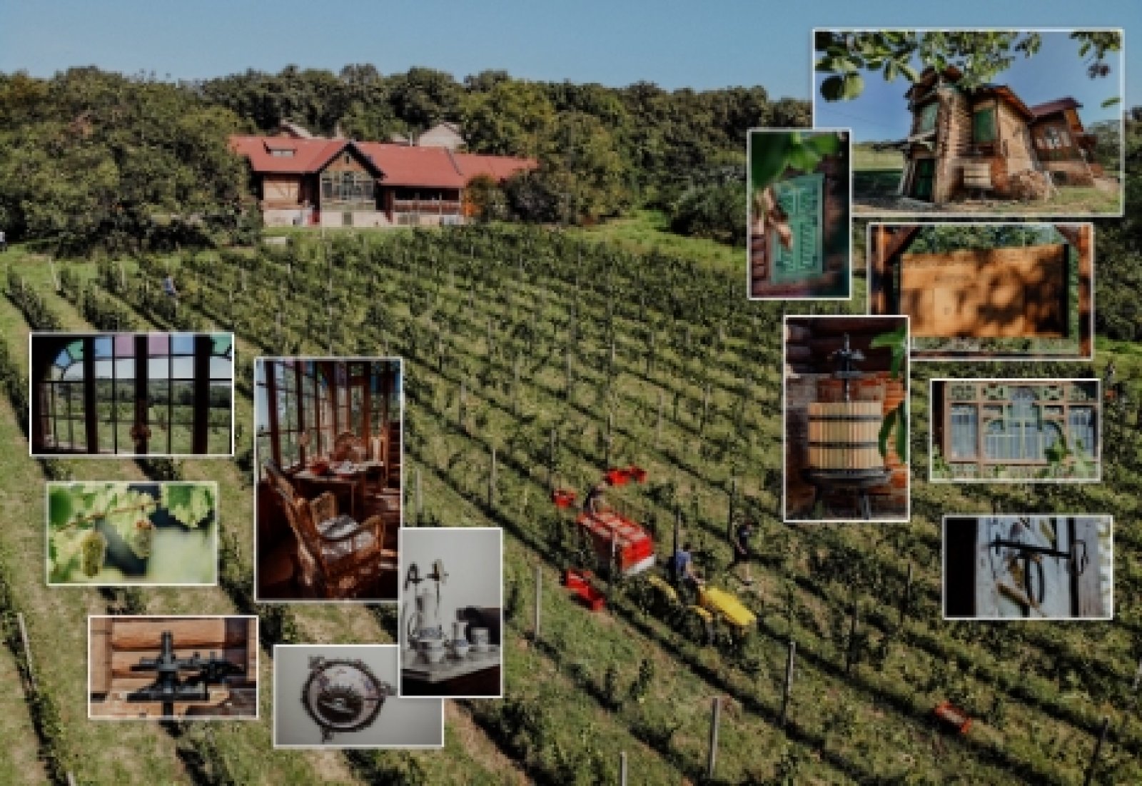 Novo iz starog - preobrazba zapuštene povijesno značajne kurije u agroturistički centar  21. stoljeća