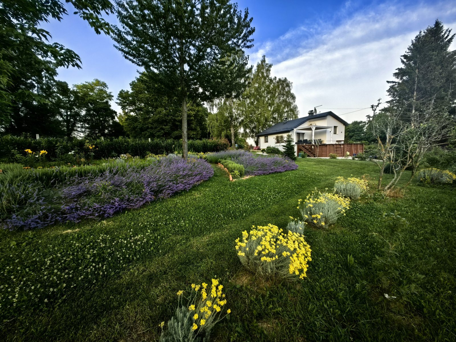Čegci Hill Residence- Ze(N)lena Ze(N)lina