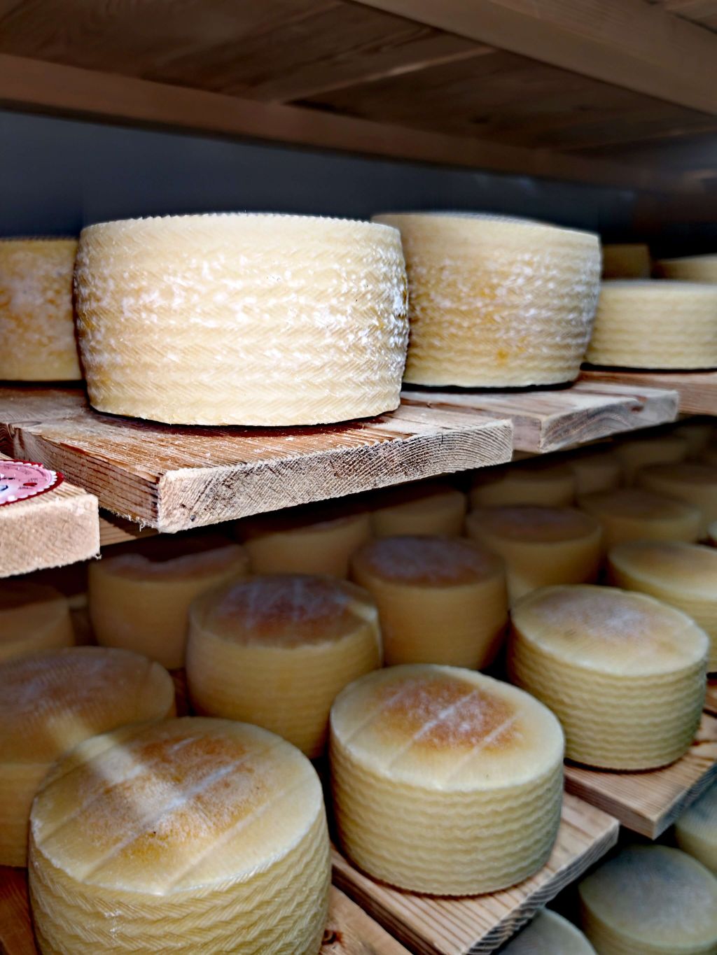 Projekti / nositelji zaštićenih i marketinških oznaka